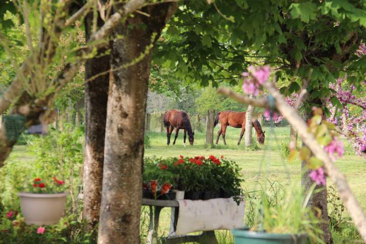 Location chambres pour seniors Colocation senior Sarthe