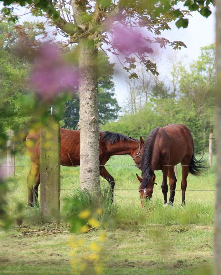 Domaine convivial Sarthe